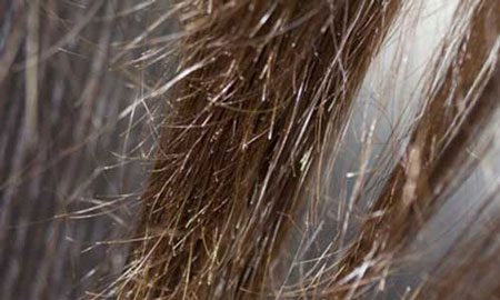 ایجاد مو خوره در صورت استفاده از محصولات مراقبت موی فاسد